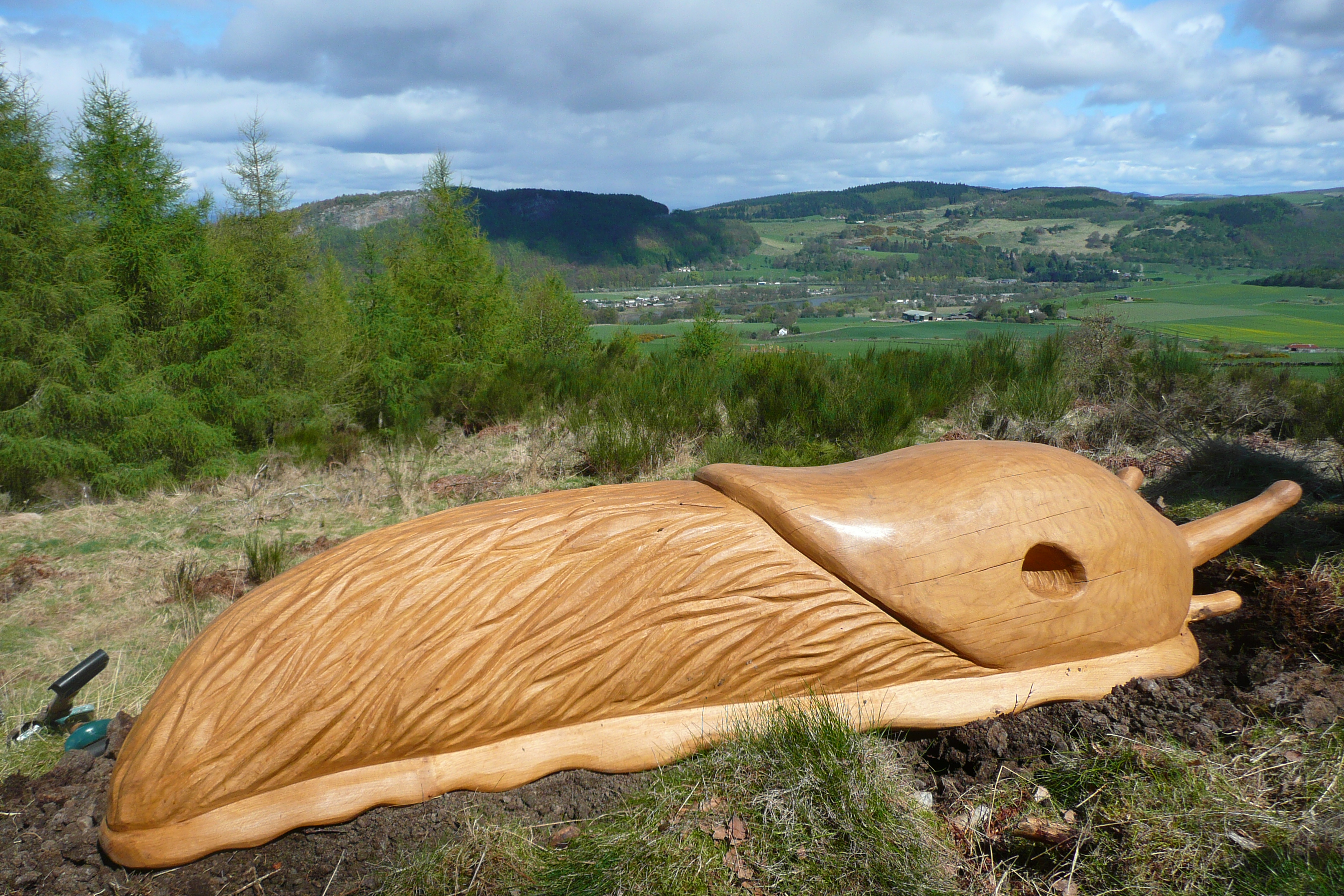 giant slug wood carving wildchild designs
