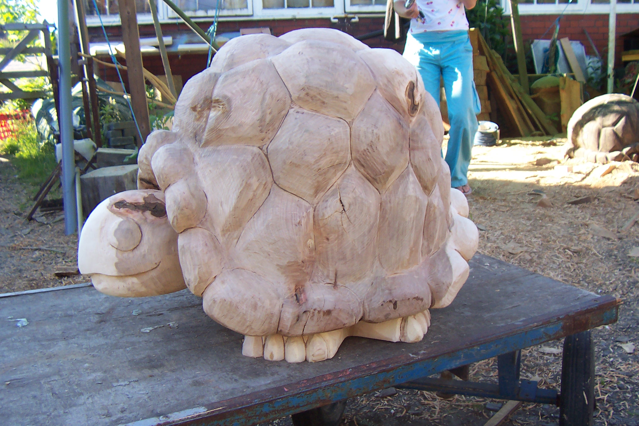 hand carved turtle art sculpture robin wood