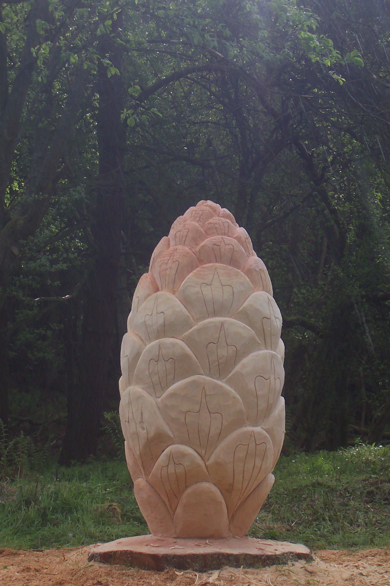 pine cone hand carved sculpture robin wood