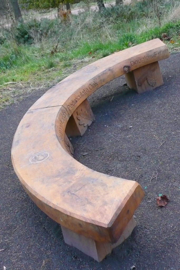woodland trust wooden seating bench wildchild designs